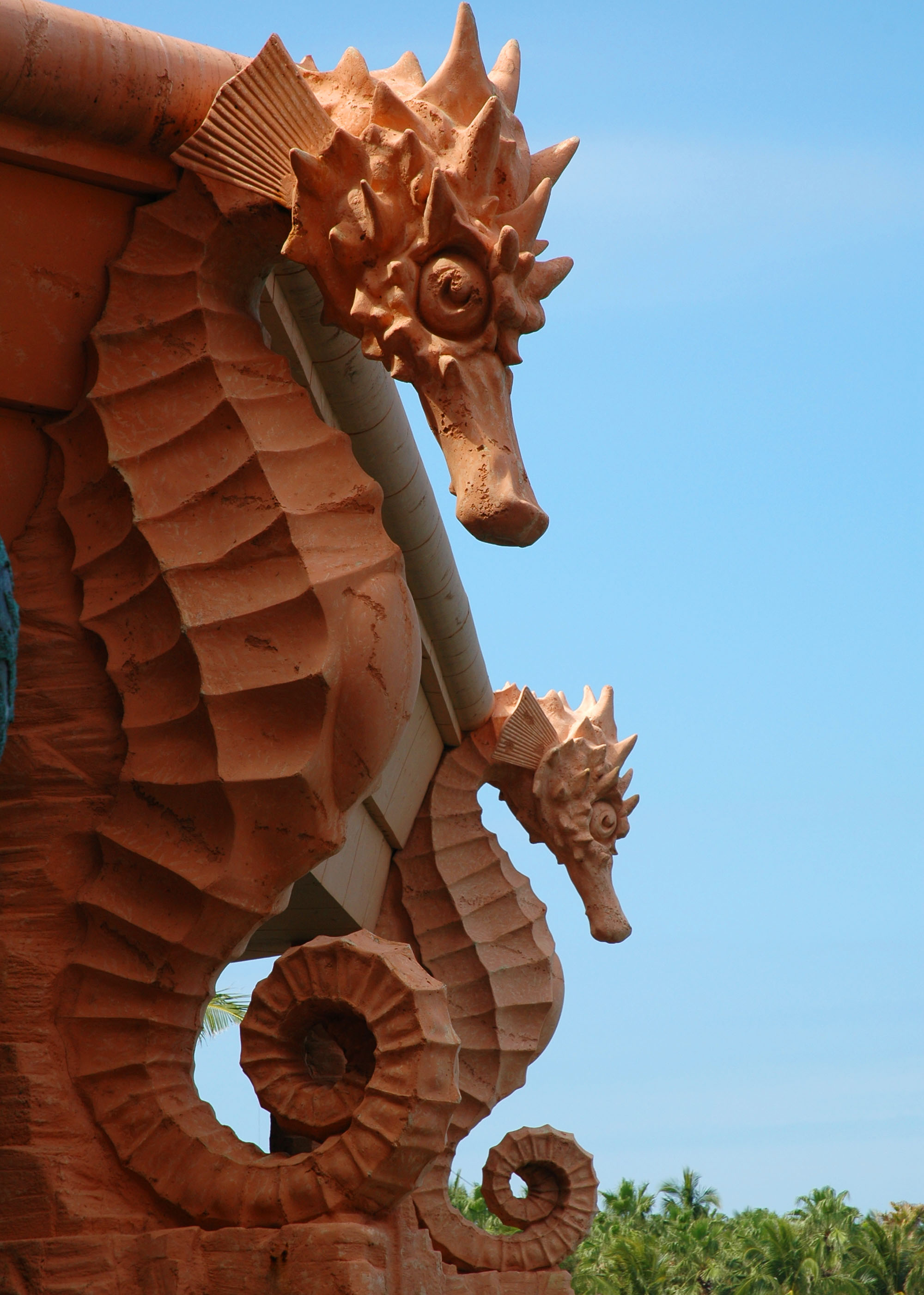 Seahorses